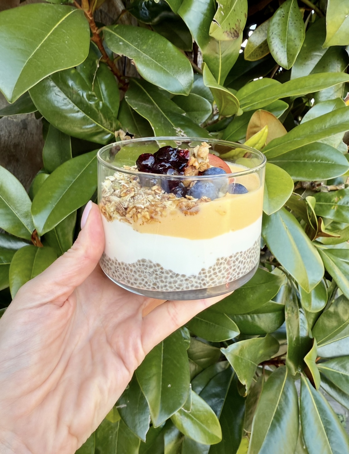 A layered chia pudding pot with granola, fruit compote, and blueberries, held against green foliage.